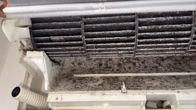 驚きの発見😲